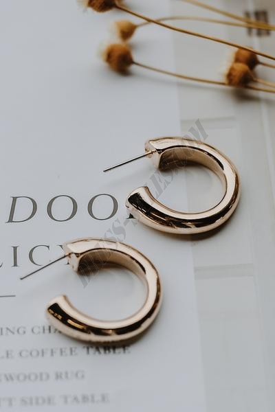 On Discount ● Jade Gold Hoop Earrings ● Dress Up - -3